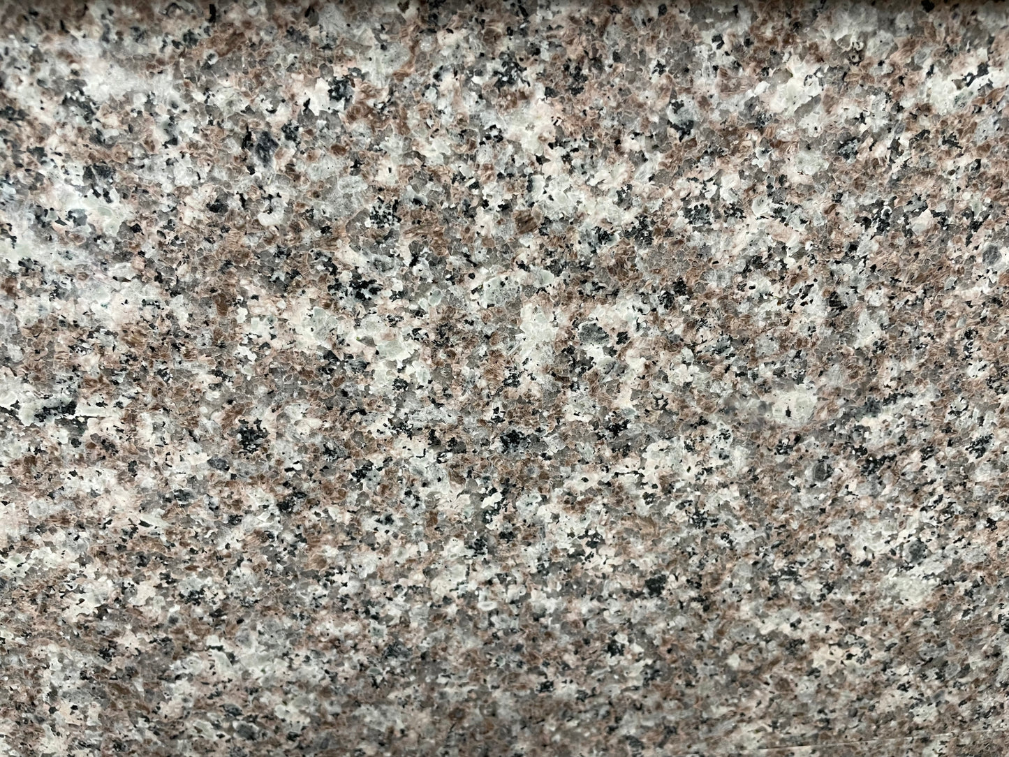 Bainbrook Brown polished granite tile with a white, brown, and black style, for floors and walls. In a 12x24" size.