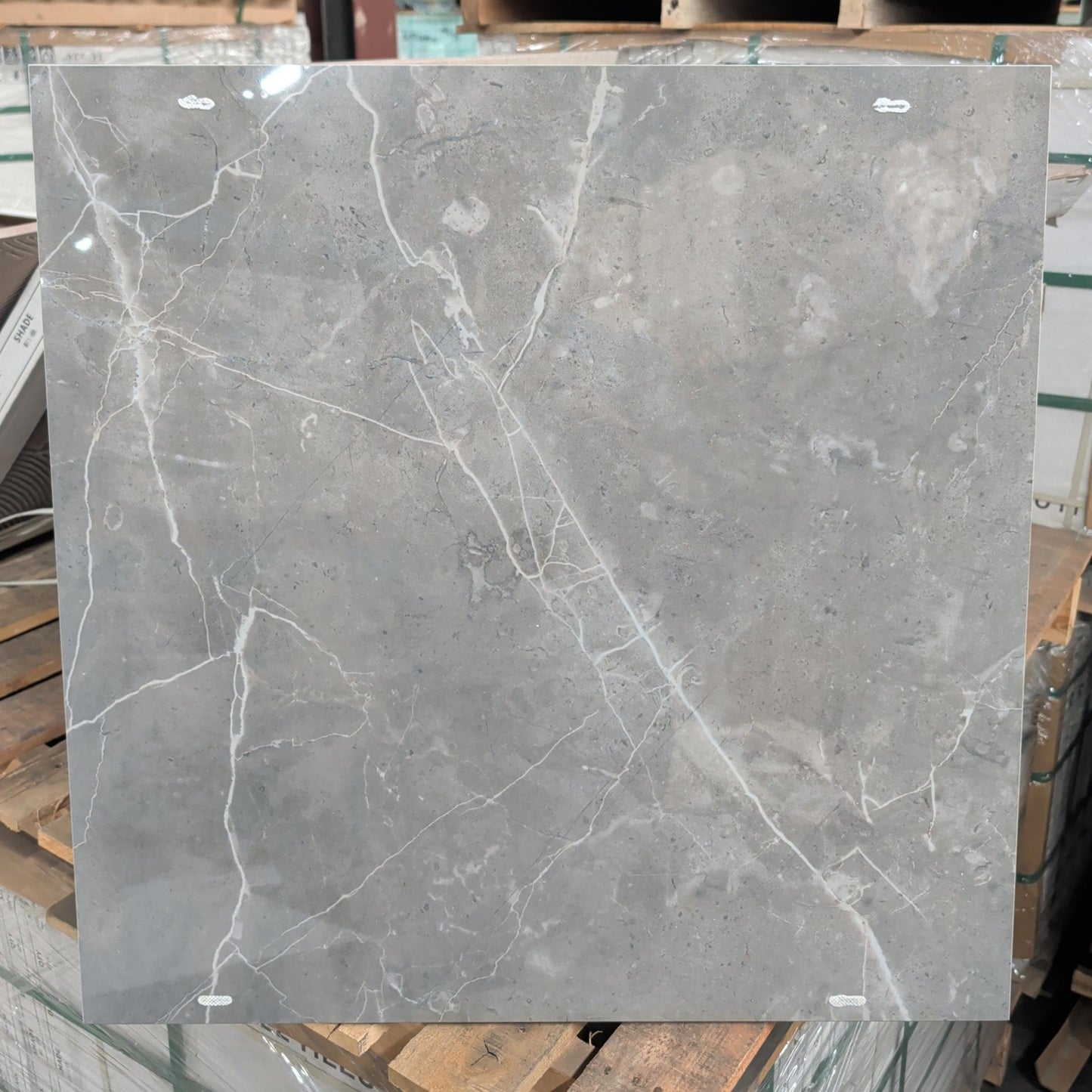Bosco Lux 24x24" Polished - 84 Sq. Ft. Take All