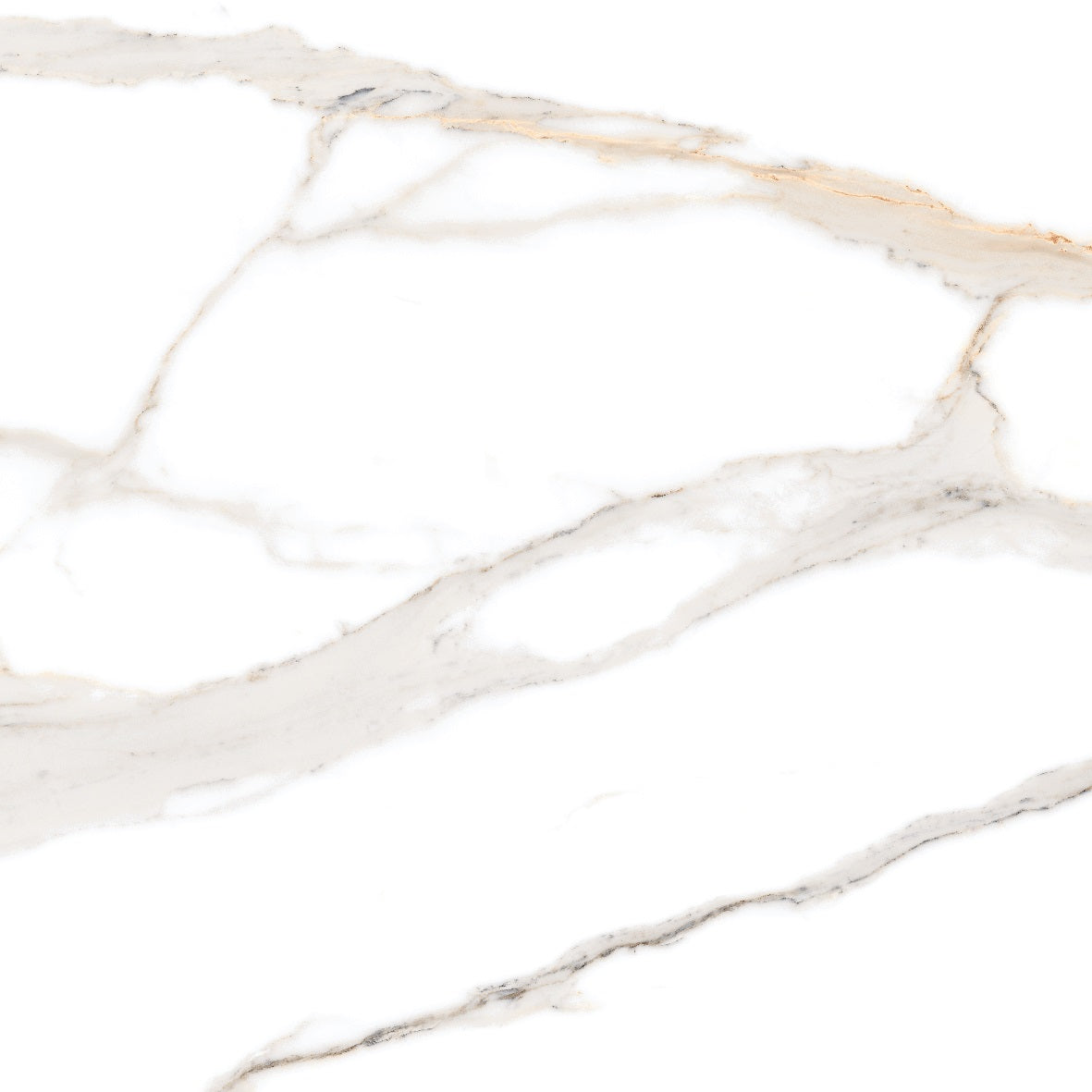Calcutta Gold polished/matte porcelain tile with a white marble design, for floors and walls. In a 24x24" size.