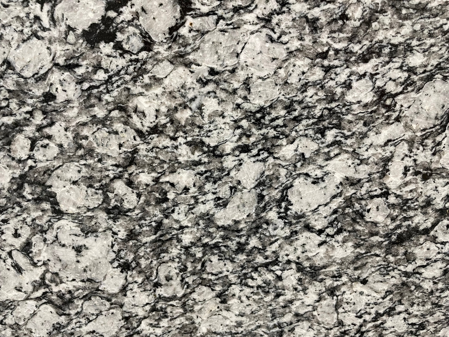 Laguna White polished finish granite tile with a black and white style, for floors and walls. In a 16x32" size.