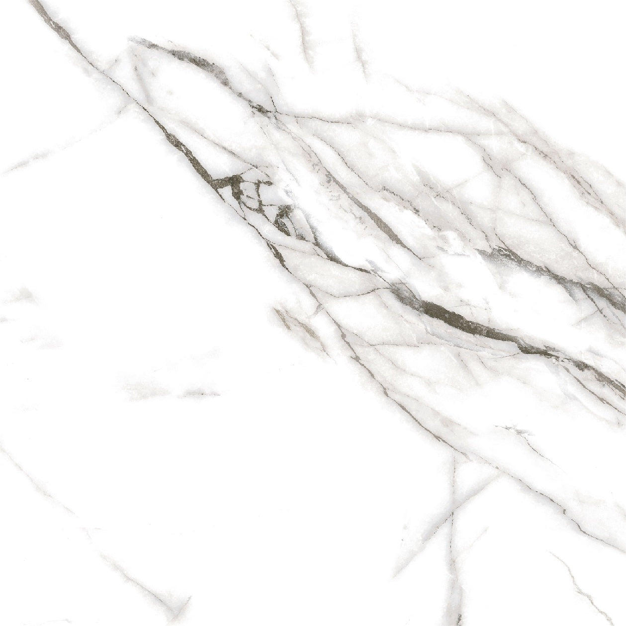 Marmo Carolina polished/matte porcelain tile with a white and black marble style for floors and walls. In a 24x24" size.
