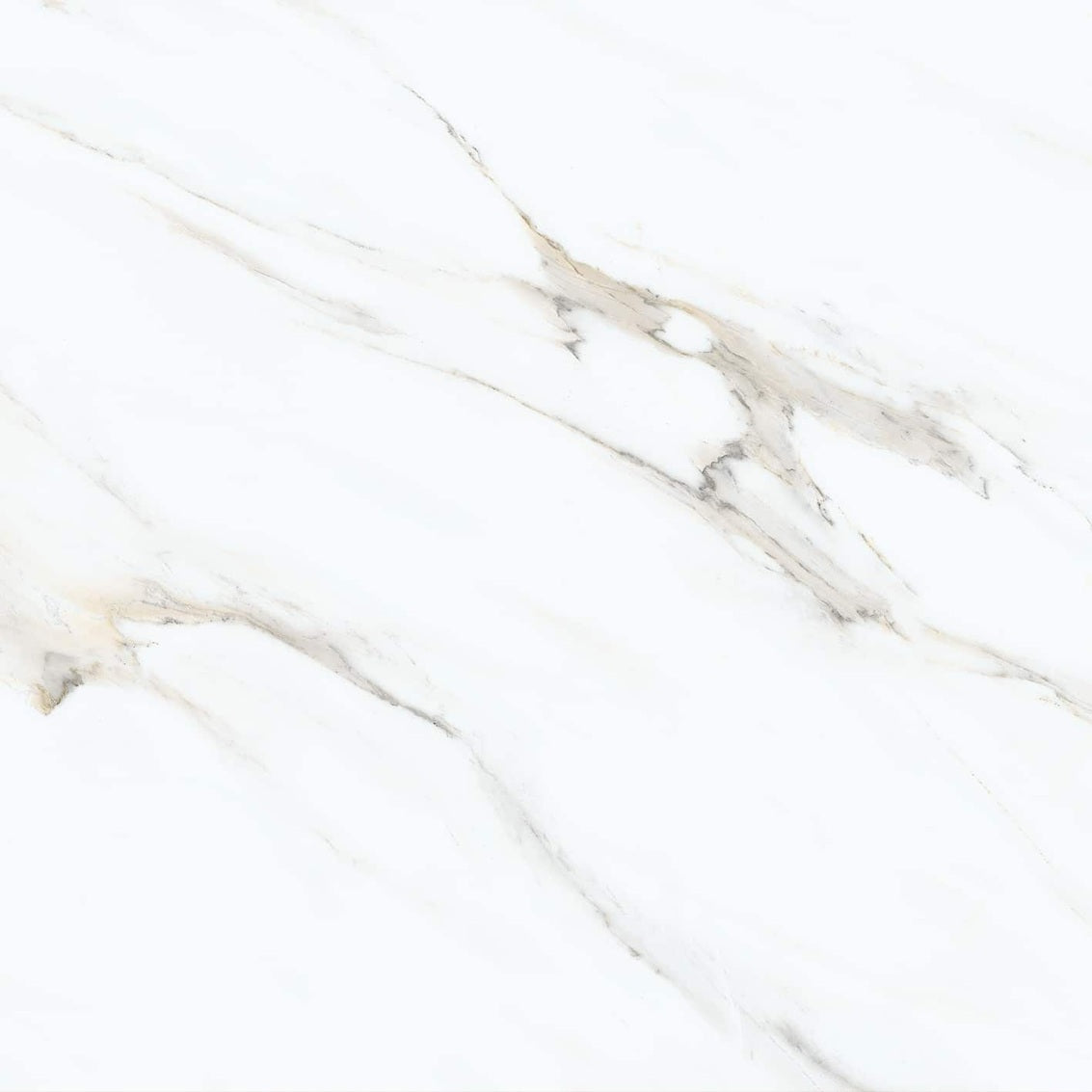 Calacatta Oro polished/matte porcelain tile with a white and gold marble design, for floors and walls. In a 24x24" size.