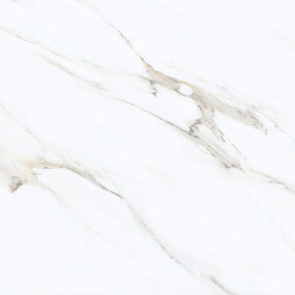 Calacatta Oro polished/matte porcelain tile with a white and gold marble design, for floors and walls. In a 24x24" size.