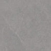 Lithos Stone Grey matte porcelain tile with a stone design, for floors and walls. In a 24x24" size.