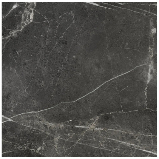 Lumino Carbon