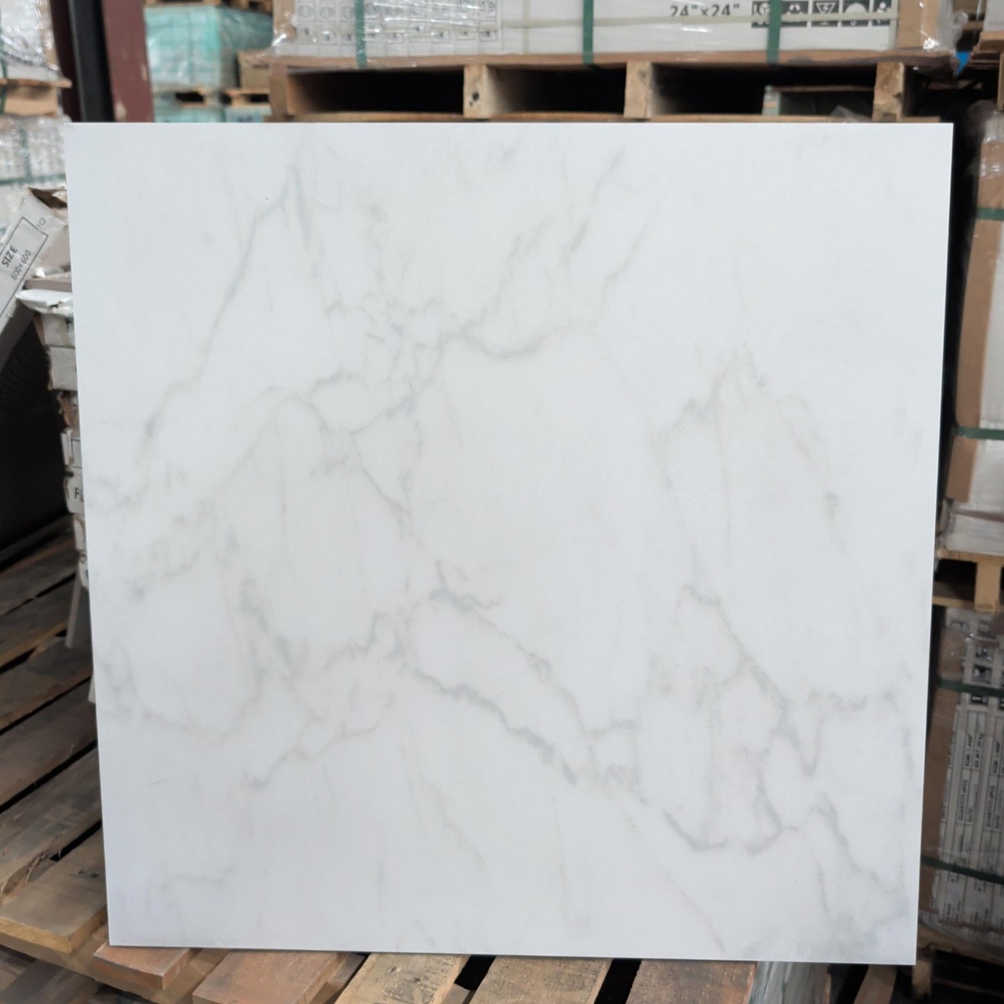 Super Carrara White 24x24" Honed - Price Per Box